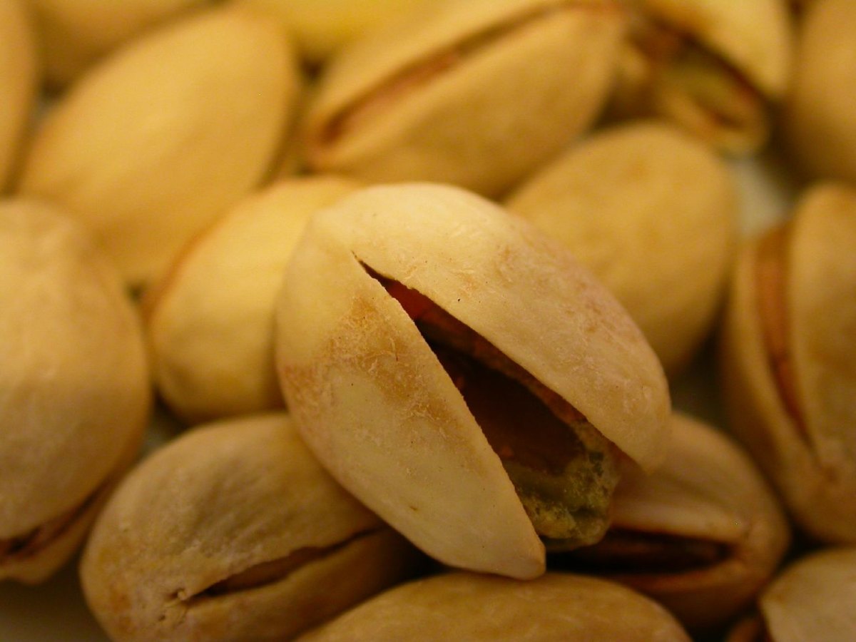 پسته احمدآقایی شور